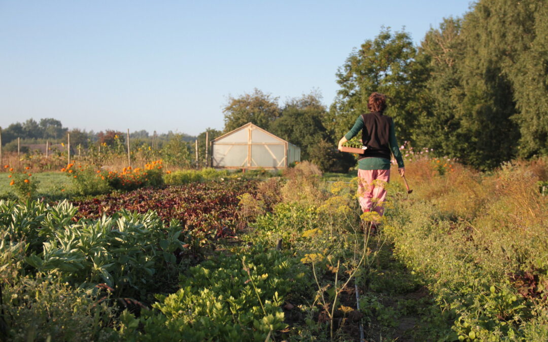 Deux pays, deux regards, une même volonté de souveraineté agricole et alimentaire