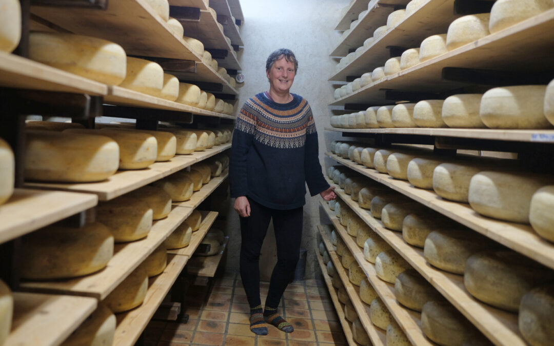 Des Pays-Bas au nord-Mayenne, le parcours européen d’une agricultrice bio